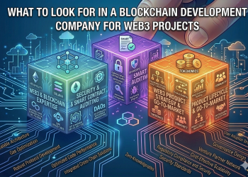 What to Look for in a Blockchain Development Company for Web3 Projects