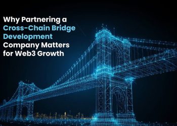 Why Partnering a Cross-Chain Bridge Development Company Matters for Web3 Growth